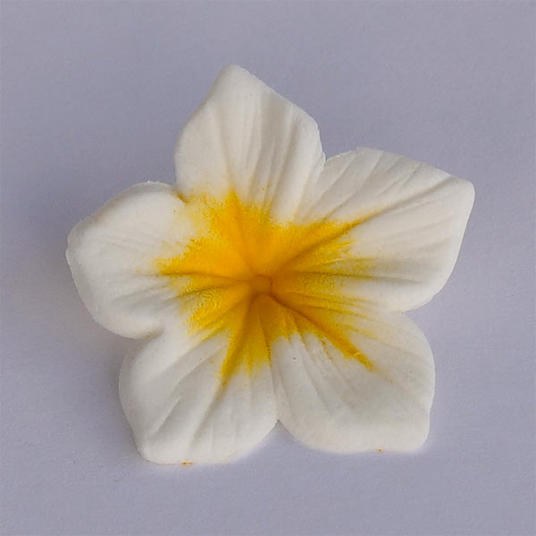 Colours Dust Amarelo 7 ml - JustAddLove