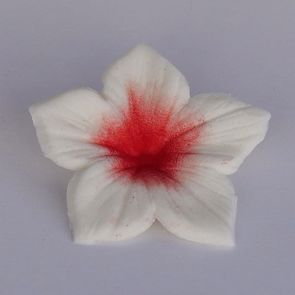 Corante Em Pó Vermelho 7g - JustAddLove
