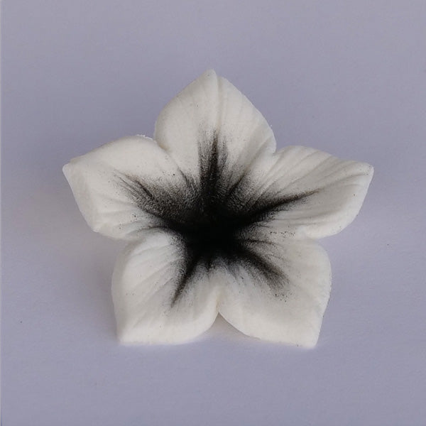 Colours Dust Preto 7g - JustAddLove