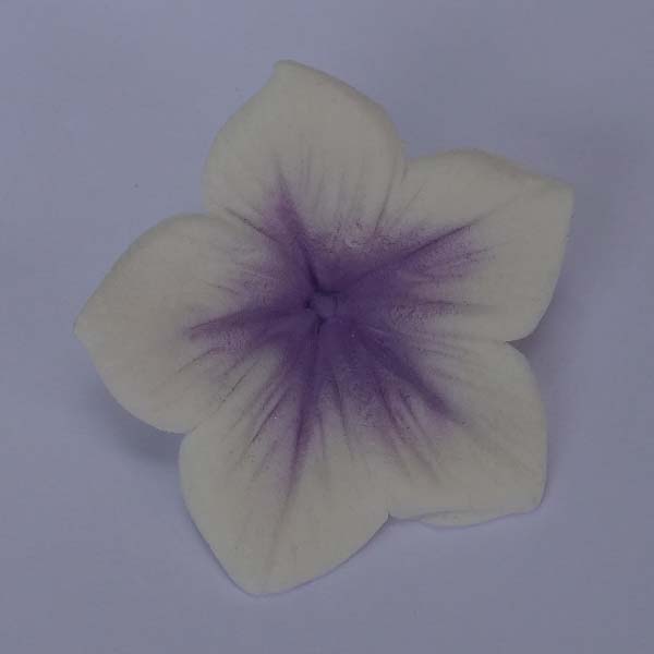 Colours Dust Lavanda 7g - JustAddLove