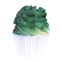 Thumbnail for Corante Spray Verde 100ml PME