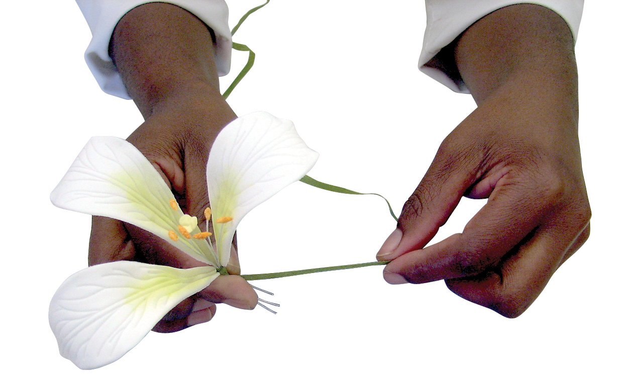Fita autoadesiva Verde Claro para flores - PME