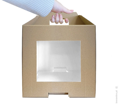 Caixa com Pega e Visor 20x20x20cm