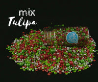 Thumbnail for Sprinkles E Pérolas - Mix Tulipa - 70g
